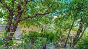 A garden with trees, a wooden fence, and a building in the background. - Superior by Interhome (Leśna)
