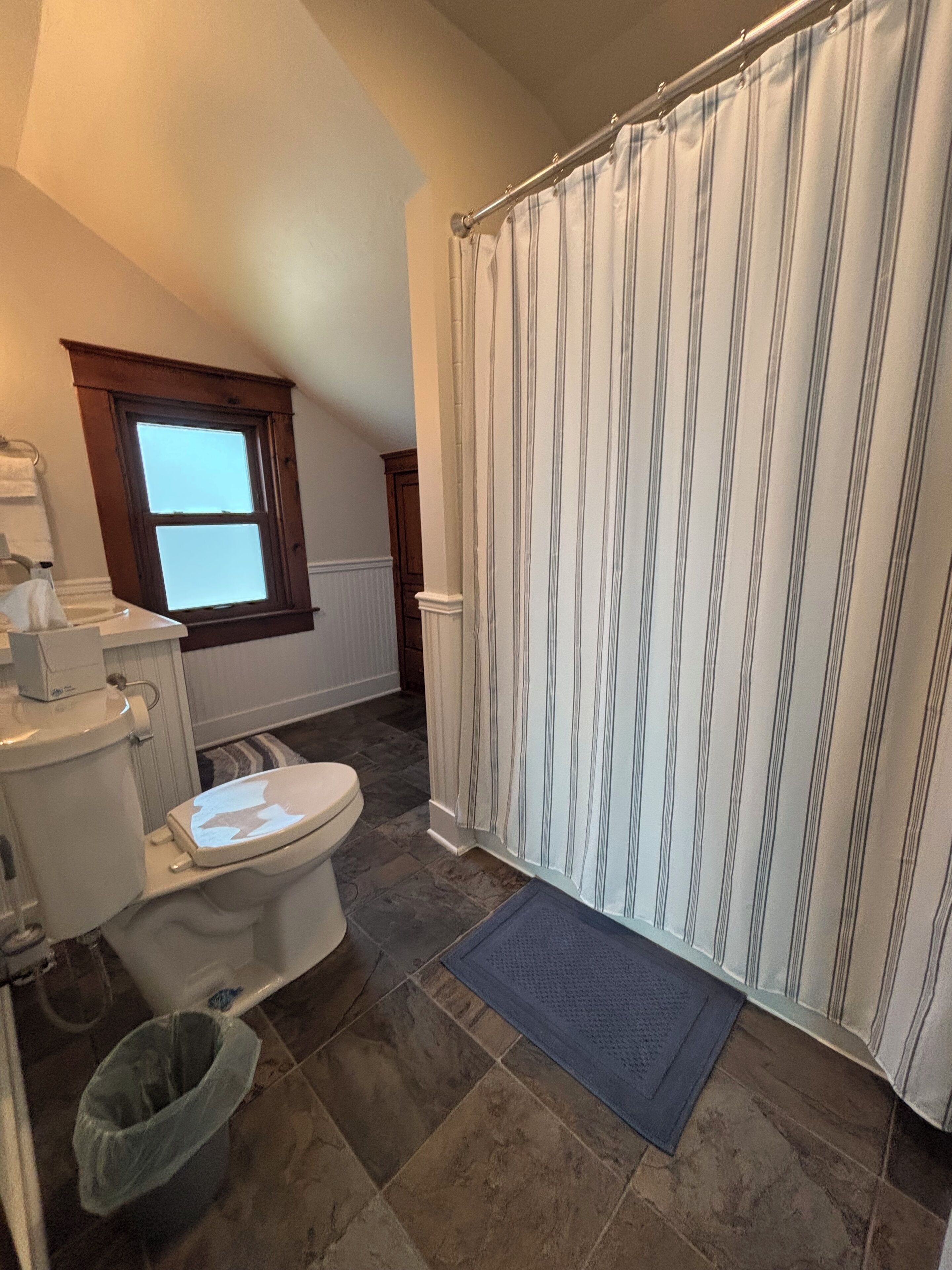 A bathroom with a toilet, shower curtain, and a window.