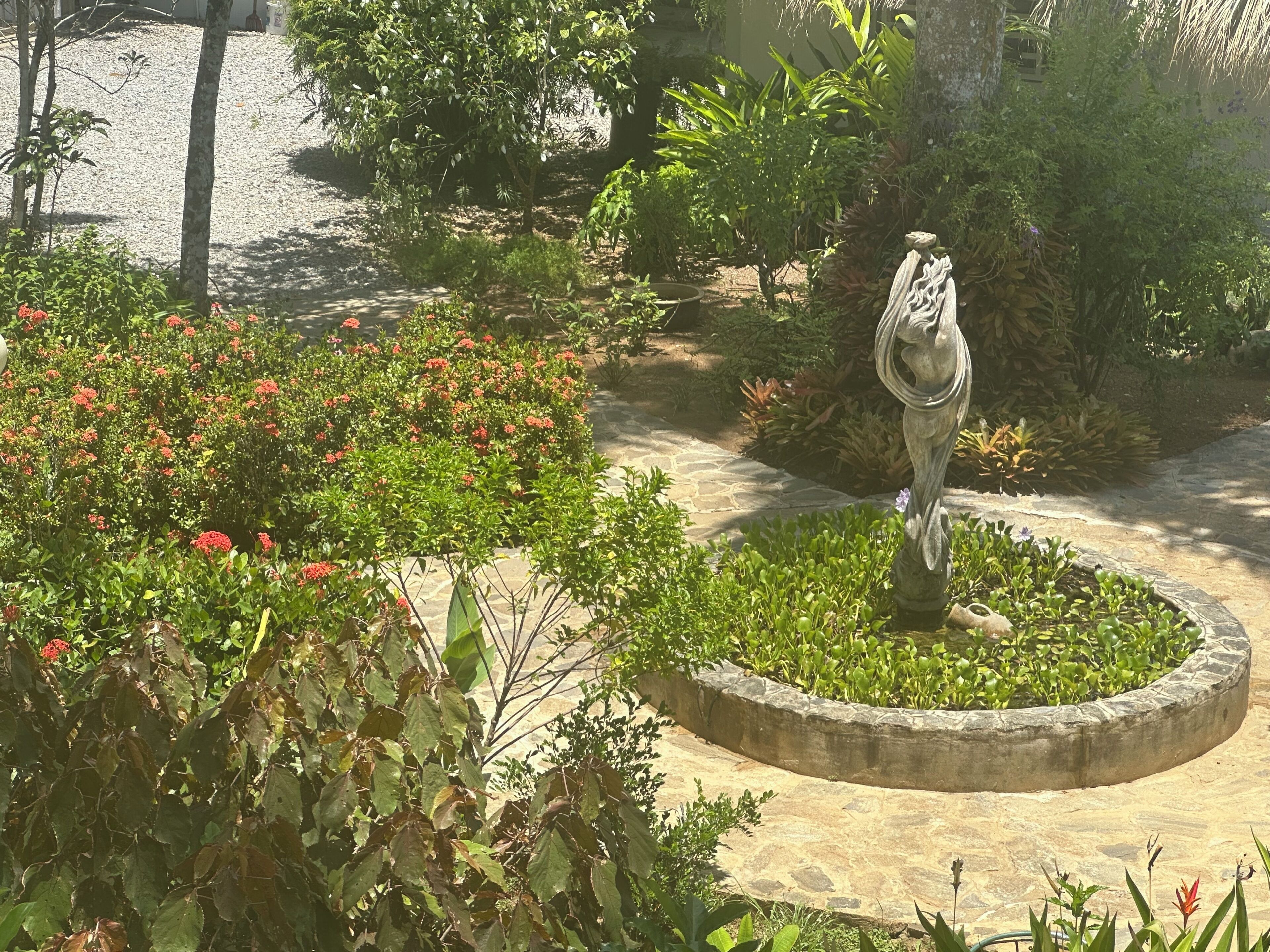 A garden with a circular stone planter, various shrubs, and a statue.