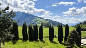 Ein grünes Feld mit ordentlich geschnittenen, kegelförmigen Bäumen und einem Gebirge im Hintergrund.
