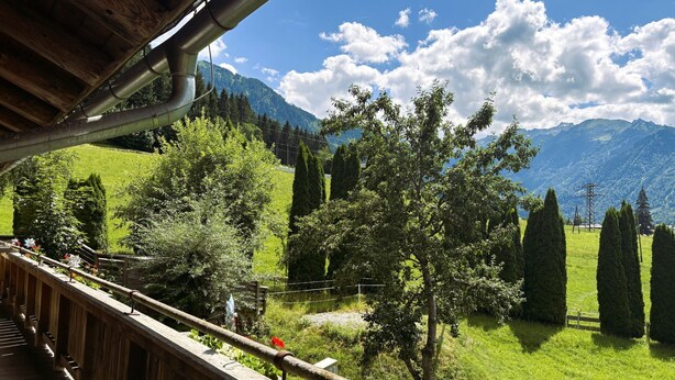 Ein hölzerner Balkon mit Blick auf ein grünes Feld, Bäume und Berge.