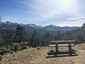 Um banco de madeira num dia claro com vista para uma paisagem montanhosa com picos nevados e florestas densas.