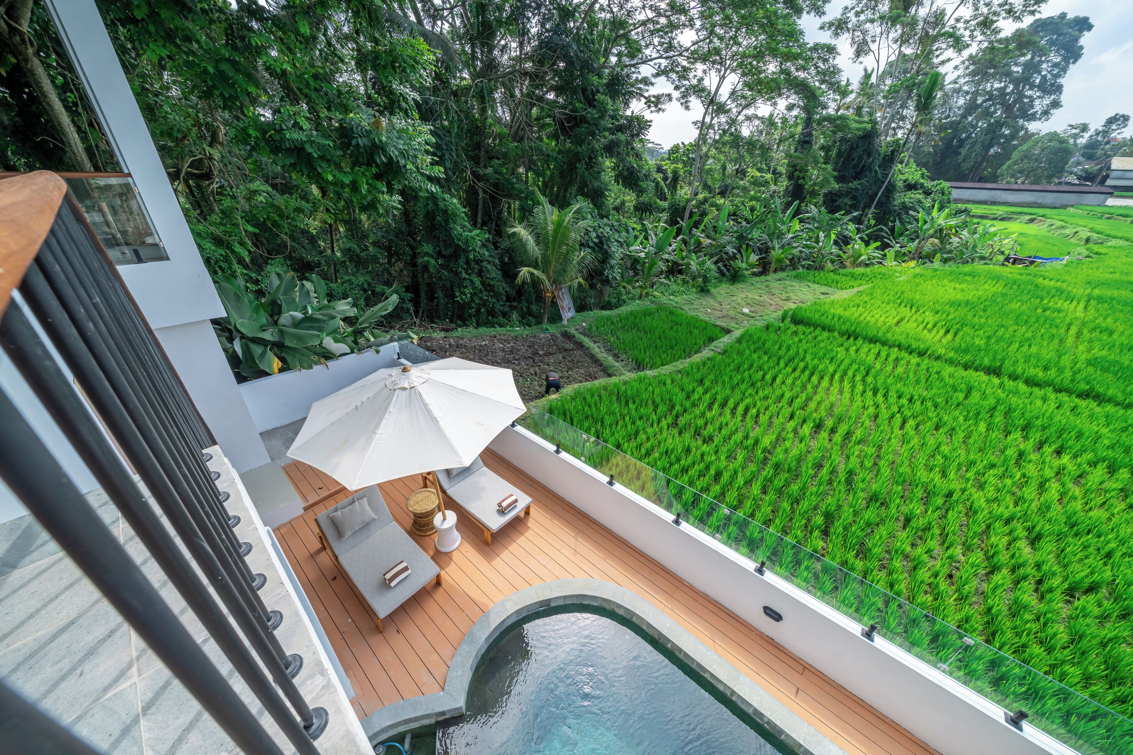 A modern outdoor deck with a pool, lounge chairs, and a view of lush green rice fields.