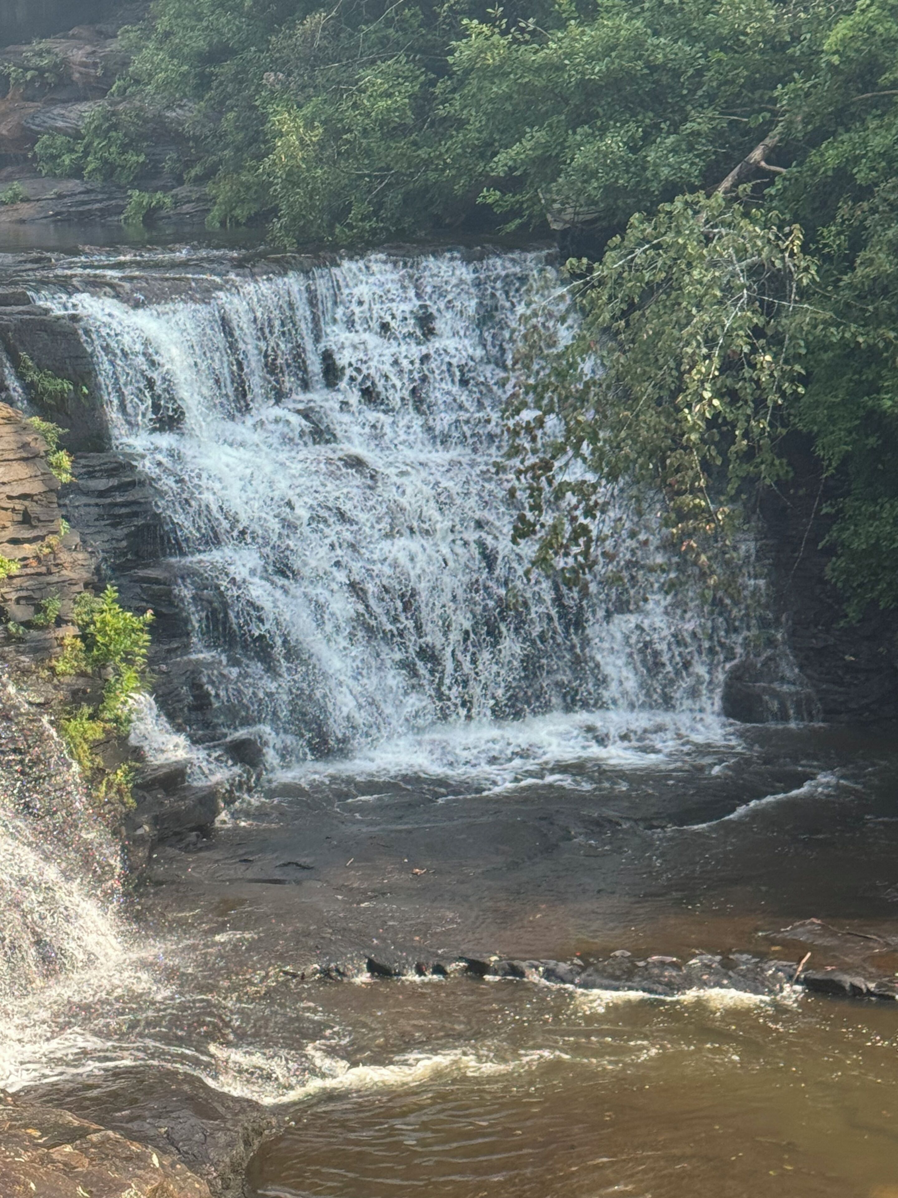 A waterfall cascading over a rocky ledge surrounded by dense foliage.
