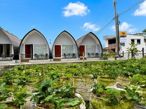 Exterior - Glamping Assalam Syariah (Karanganyar)