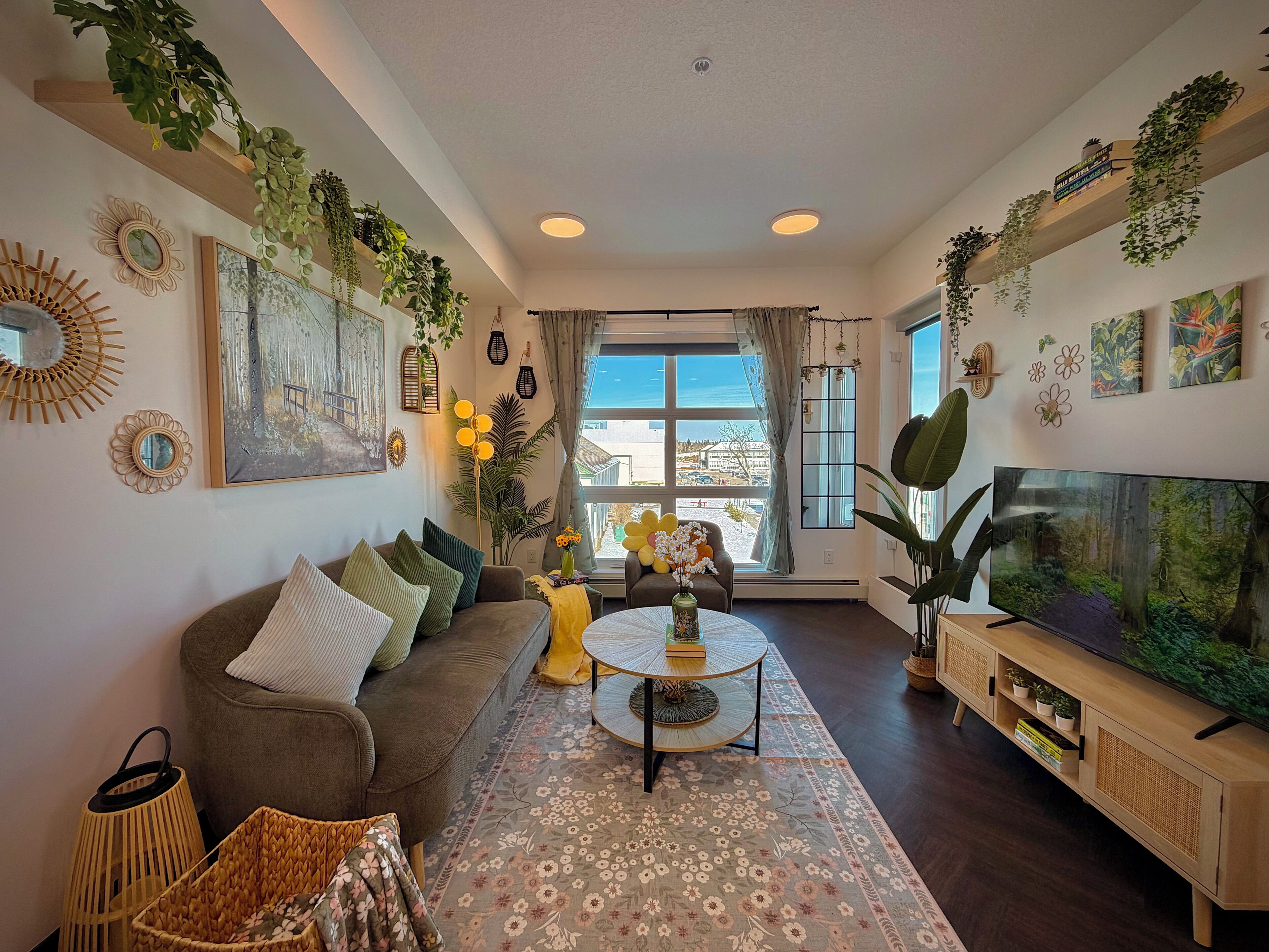 Un salon comprenant un canapé, une table basse, un téléviseur et diverses plantes.