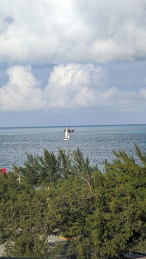 A view of a body of water with a sailboat in the distance, surrounded by dense green foliage.