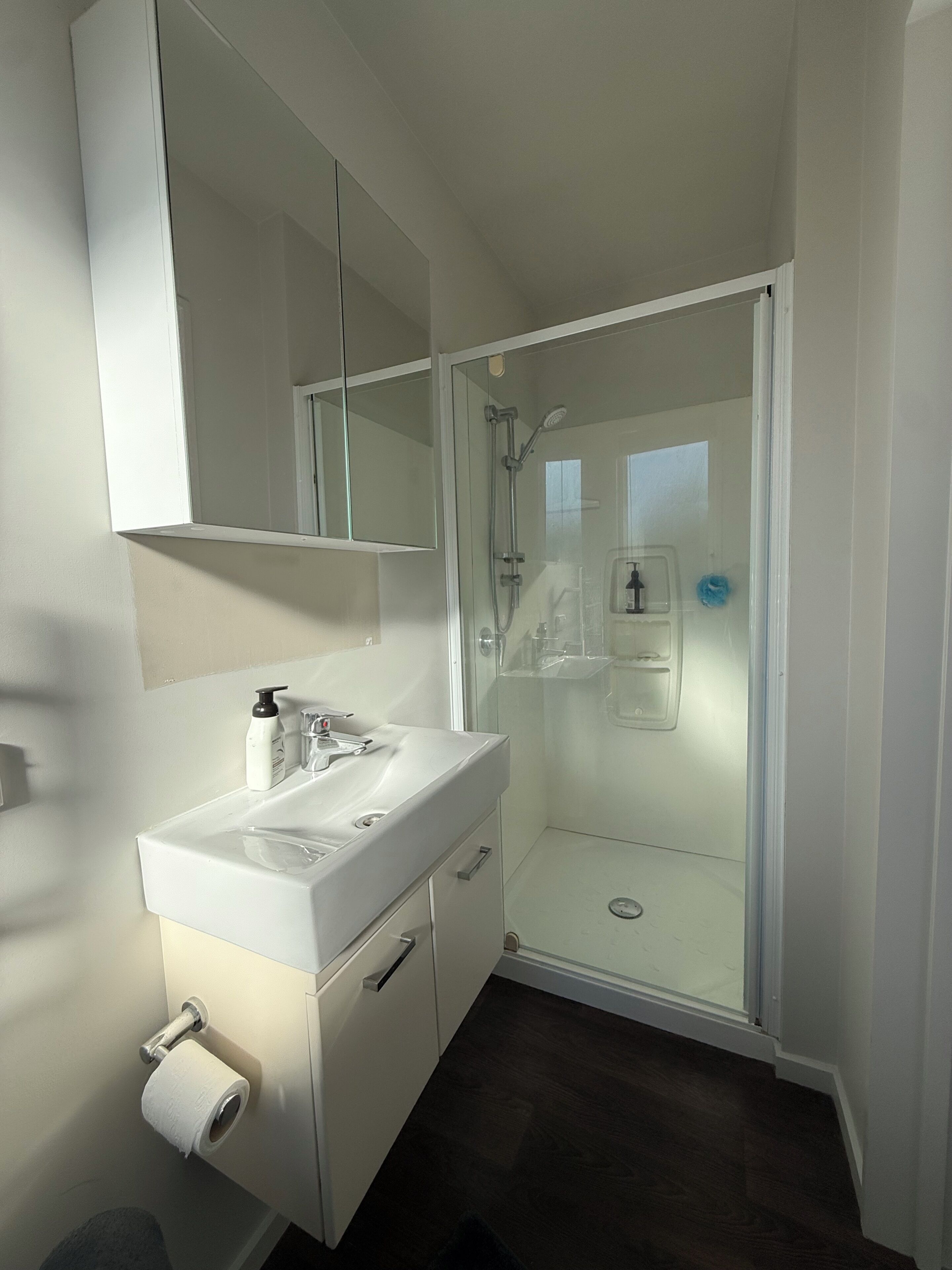 Ein modernes Badezimmer mit einer gläsernen Duschkabine, einem weißen Waschtisch mit Spiegel und einer Toilette.