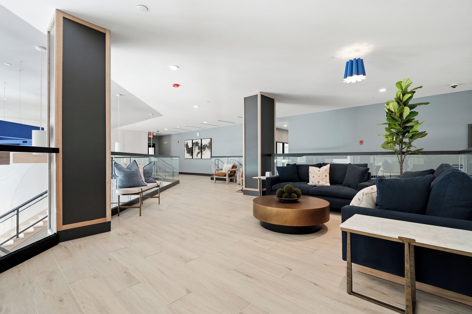 A modern interior with seating areas, a coffee table, and a plant.