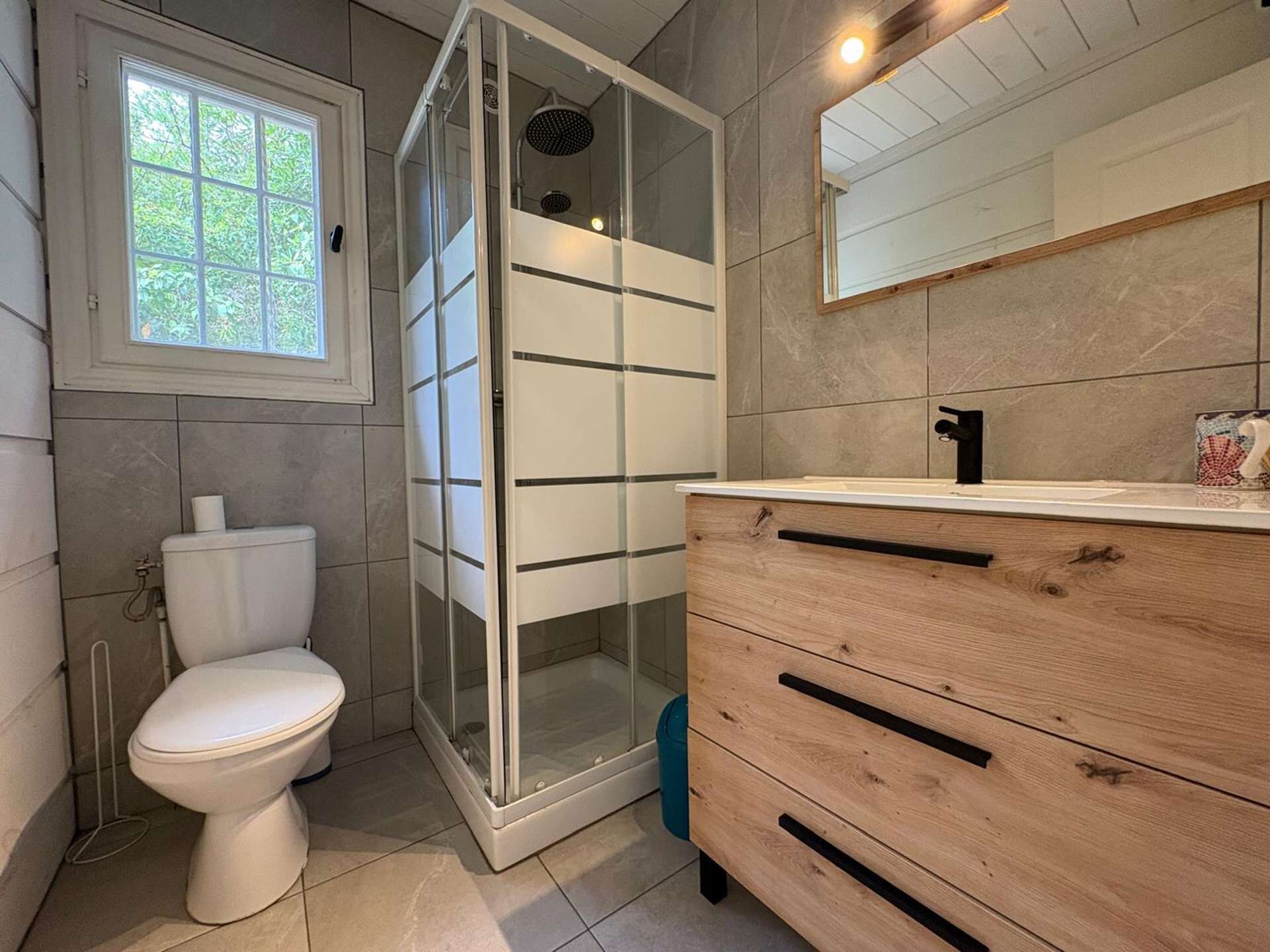 A bathroom with a toilet, a glass shower enclosure, a vanity with a mirror, and a window.