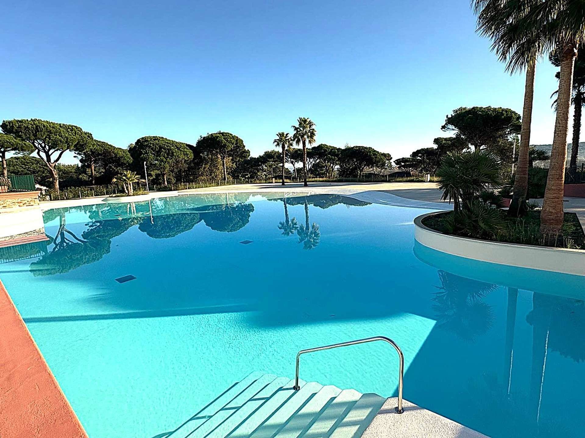 Une piscine d’un bleu éclatant, avec un escalier en métal, entourée de palmiers et d’autres plantes vertes.