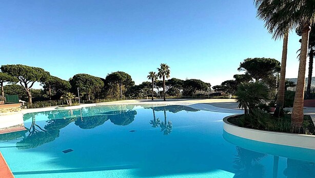 Une piscine d’un bleu éclatant, avec un escalier en métal, entourée de palmiers et d’autres plantes vertes.
