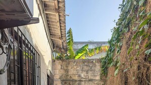 A narrow alleyway with a concrete wall, a metal gate, and some vegetation.