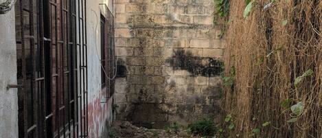 A narrow alleyway with a concrete wall, a metal gate, and some vegetation.