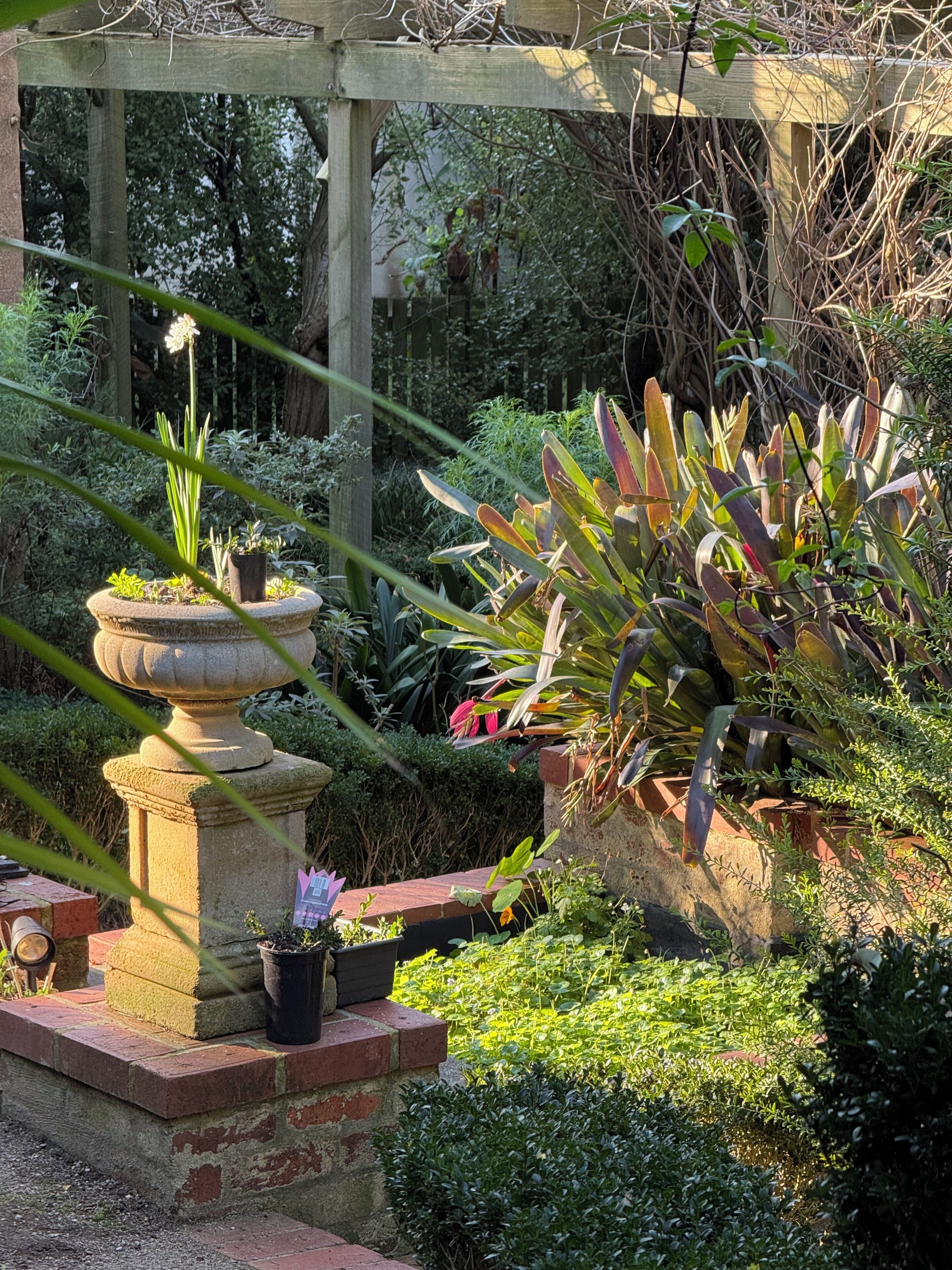 Vườn