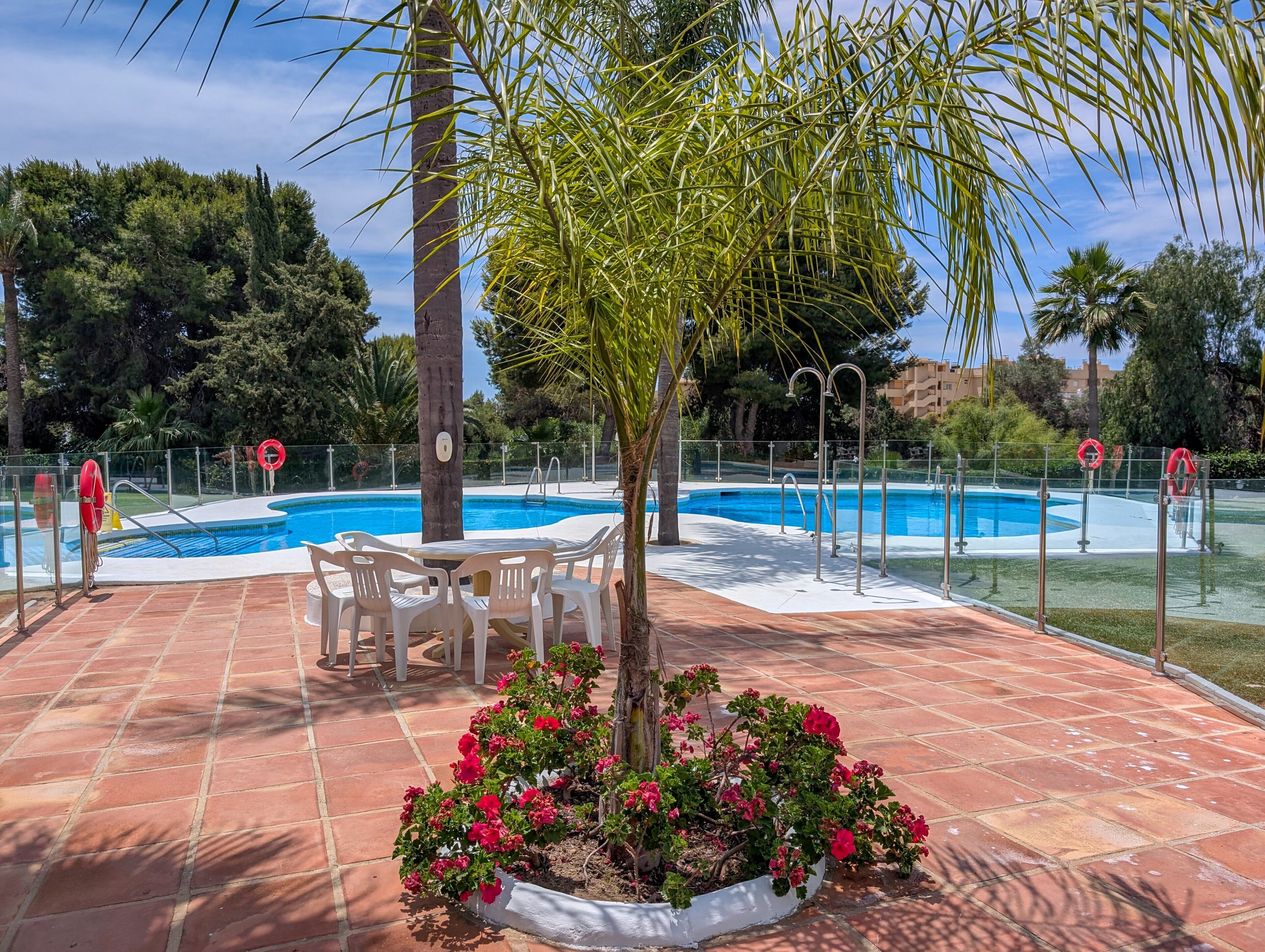 Una piscina con borde de baldosas, rodeada de palmeras y un jardín de flores.