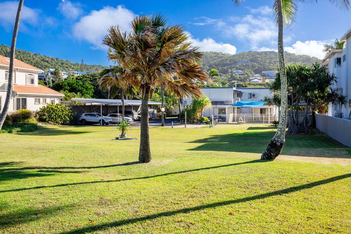 A residential area with houses, a palm tree, and a clear sky.