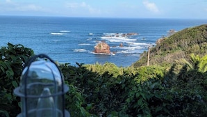 Deluxe Twin Room, Sea View | Terrace/patio - Hotel Cliffside (Shimoda)