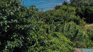 Japanese-style Quadruple Room, Ocean View - Hotel Cliffside (Shimoda)