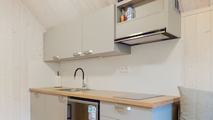 A compact kitchen with a dishwasher, a sink, and a built-in cabinet above the countertop. - Hraničná by Interhome (Janov nad Nisou)