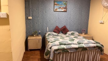 Habitació doble Deluxe | Wifi gratuïta