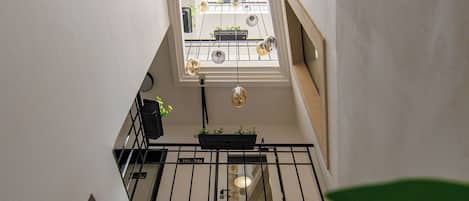 A view from a balcony with a skylight, a railing, and a plant in the foreground.