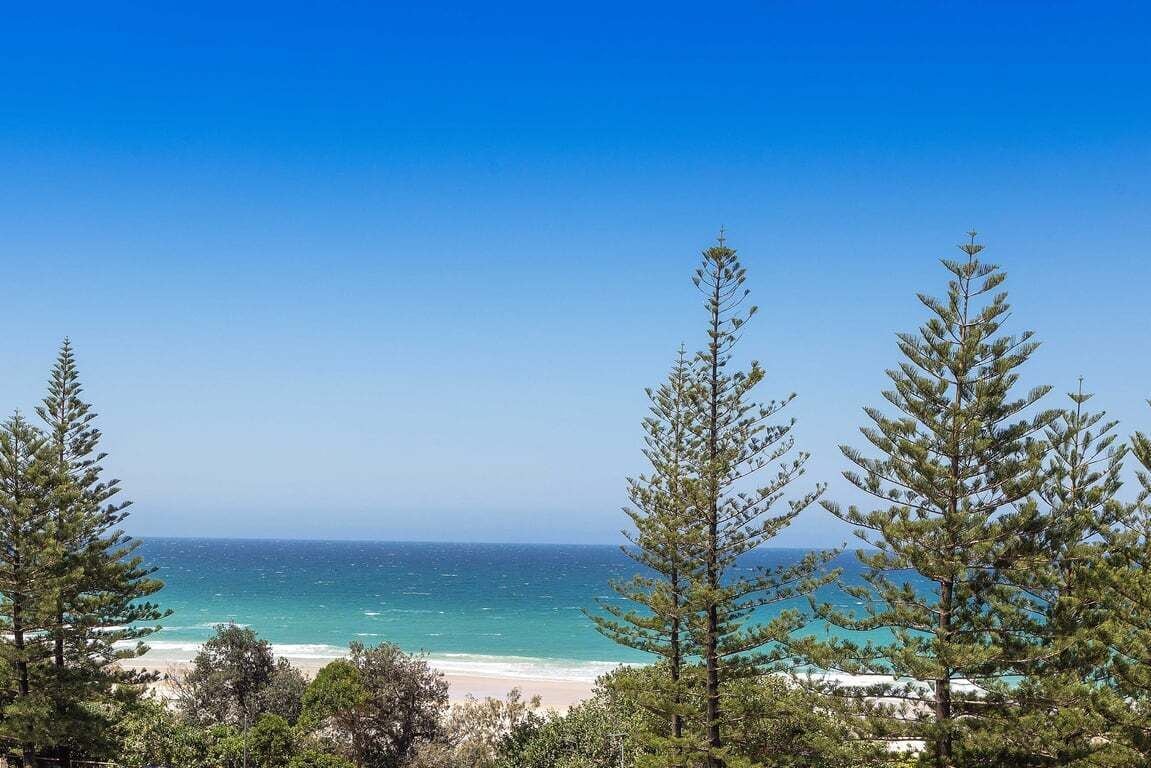 Un paisaje costero con vista despejada al océano y la playa, rodeado de árboles.