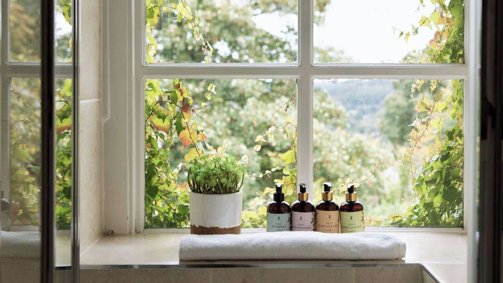 Ein Fenster mit Blick auf Grünfläche und ein Regal mit Pflanze und Flaschen.