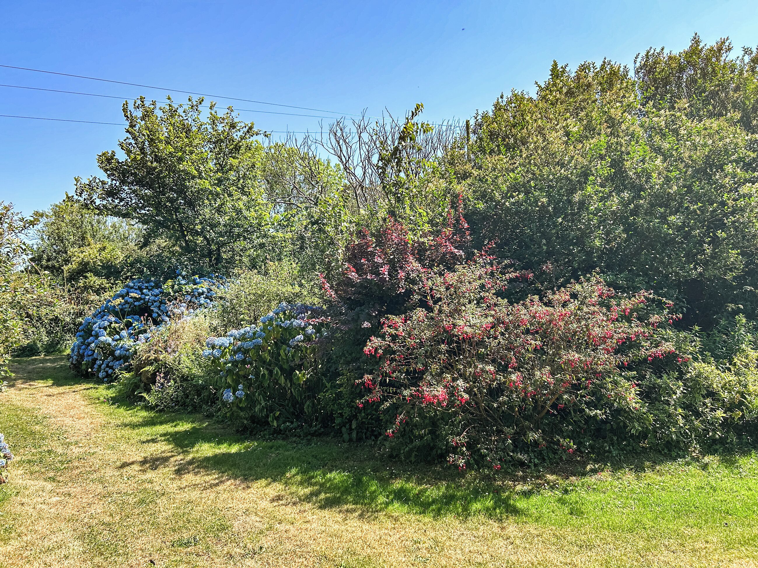 Terrain de l’hébergement 