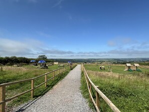 A gravel path flanked by wooden railings leading to picnic areas with blue umbrellas. - Large holiday cottage in West Wales with free entry to Bird of Prey Centre (Carmarthen)