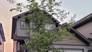 A residential house with a garage, a driveway, and a small tree in the front yard. - Rapperswill Serenity (Edmonton)