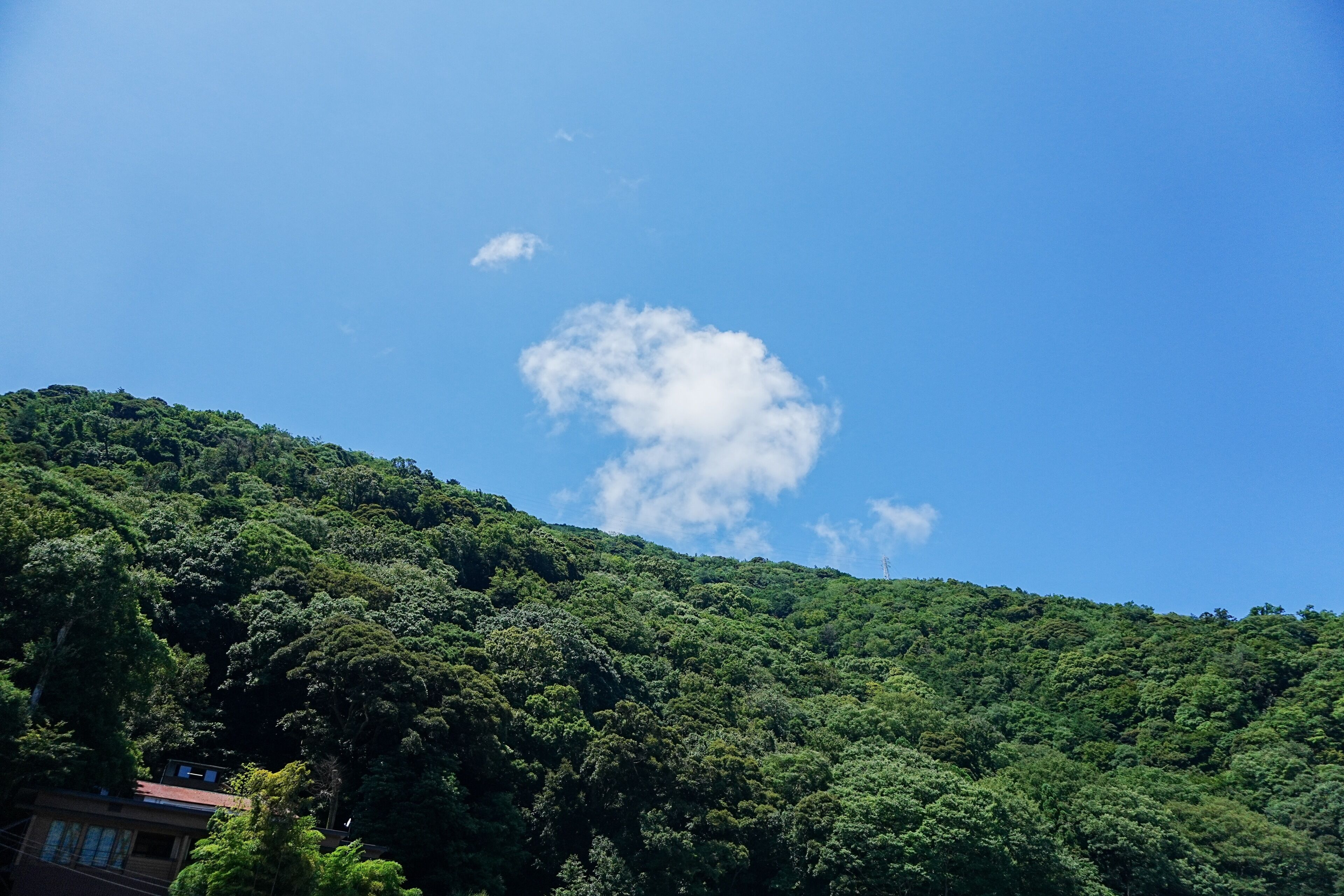 A hillside with dense green vegetation and a few buildings at the base.