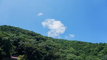 A hillside with dense green vegetation and a few buildings at the base.