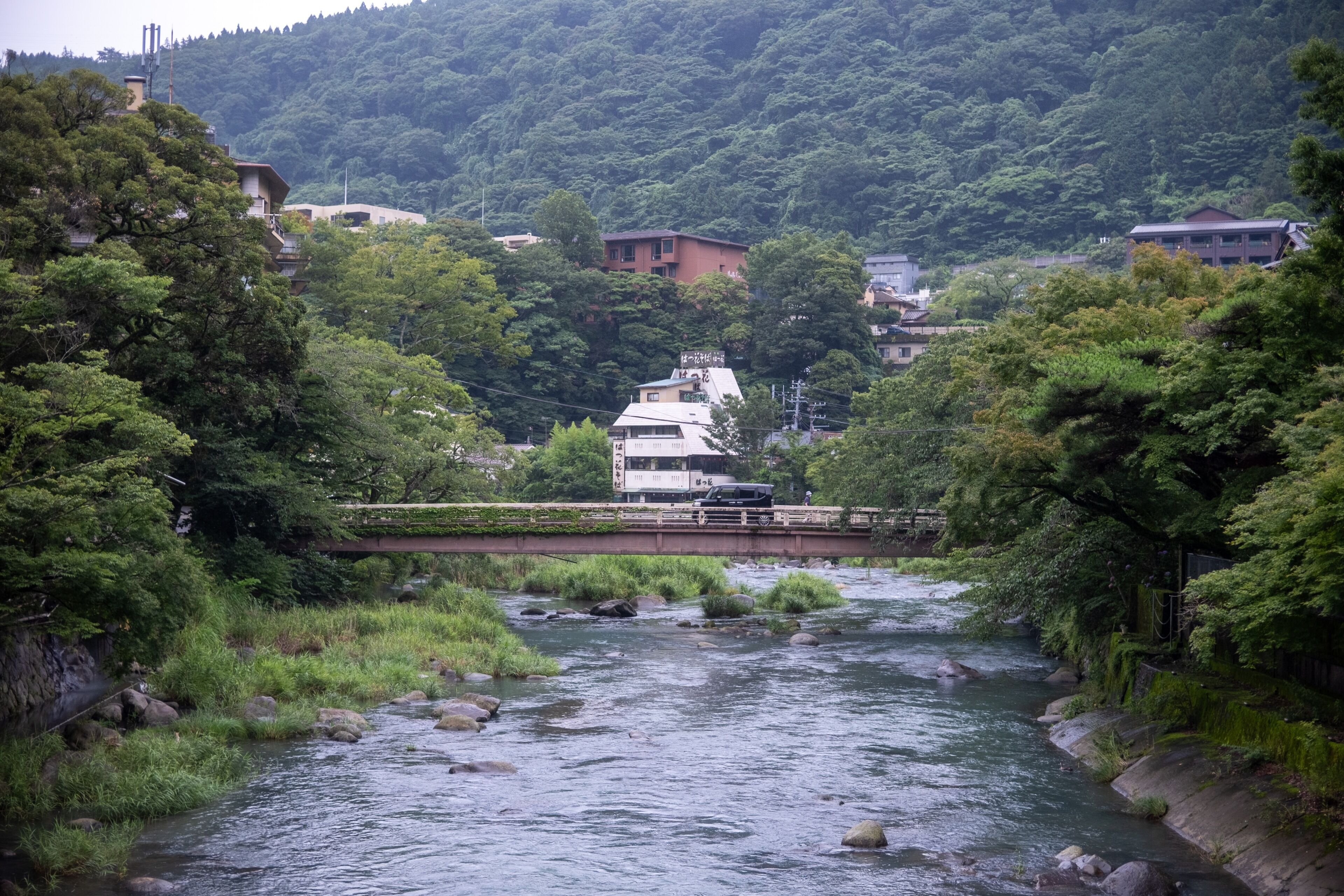 Un río con un puente, rodeado de abundante vegetación y edificios al fondo.