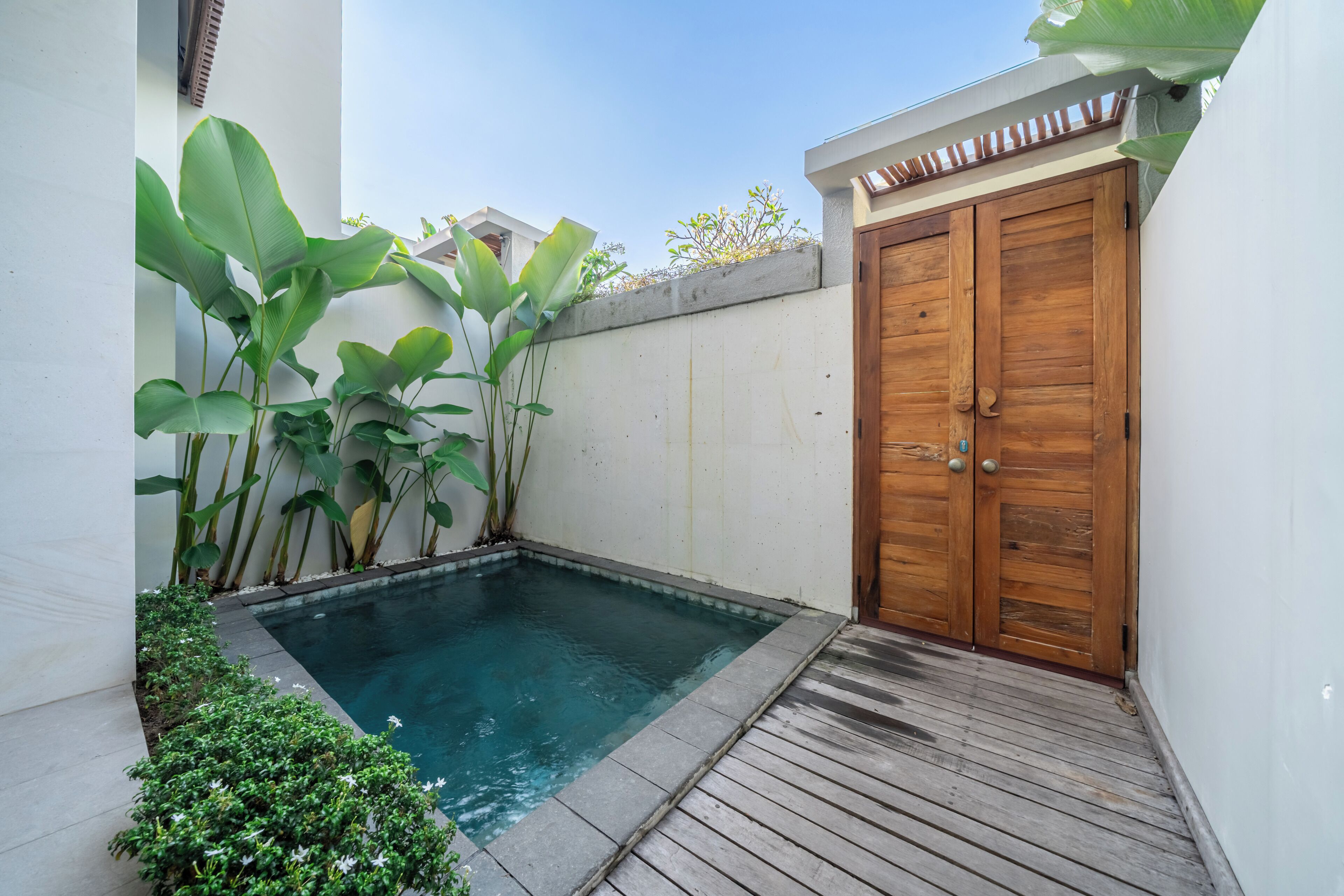 A small swimming pool with a wooden deck, surrounded by large green plants and a wooden door.