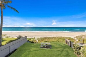 A beach view with a grassy area, a wooden bench, and a palm tree. - 8 / 39 Albatross Avenue (Gold Coast)
