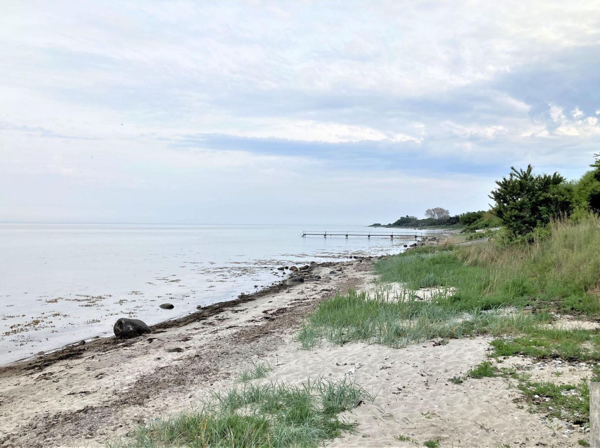 A beach with a sandy shore, a pier extending into the water, and some greenery in the background.
