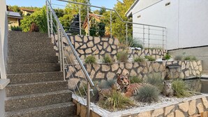 A staircase with stone steps and metal railings, leading to a stone wall with a tiger statue and a small pond. - Life on the Edge of the Black Forest (Eggingen)