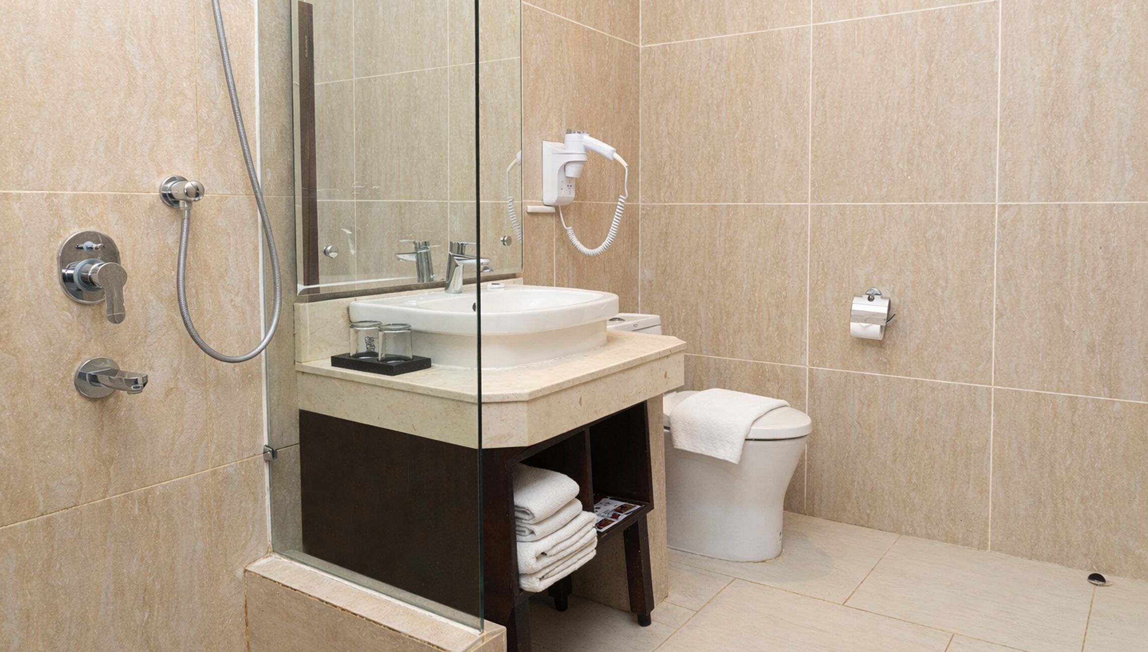 Shower, towels, toilet paper
