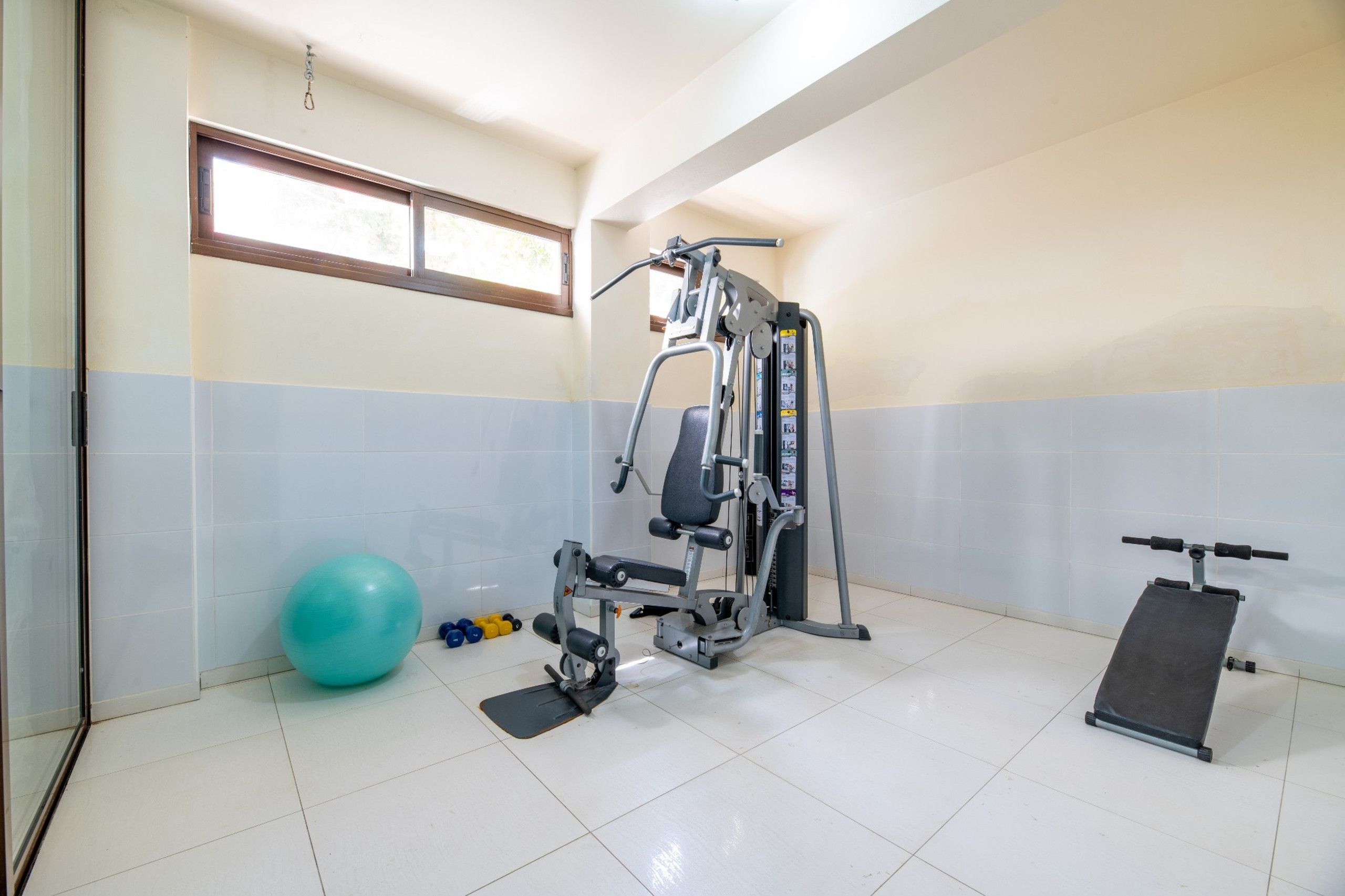 A gym with exercise equipment, a blue exercise ball, and a pull-up bar.