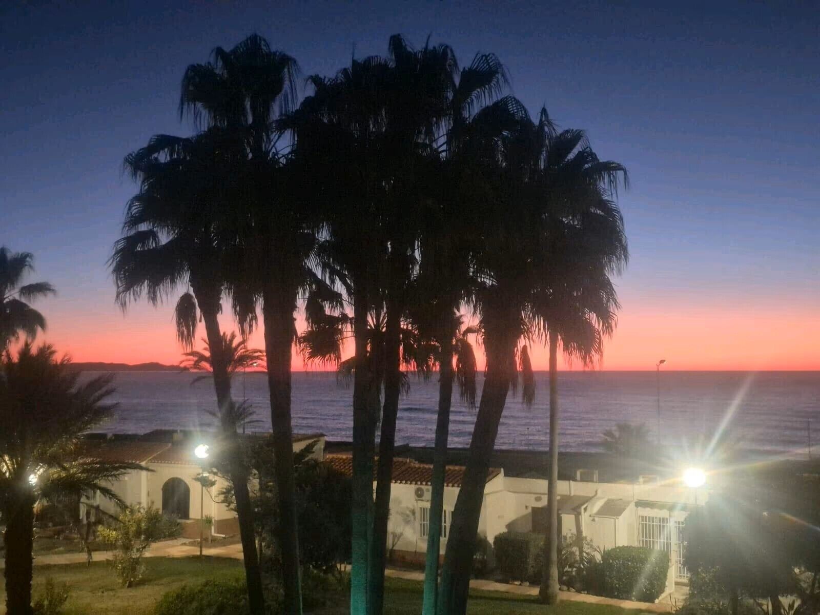 Vista al atardecer con palmeras y un edificio al frente.