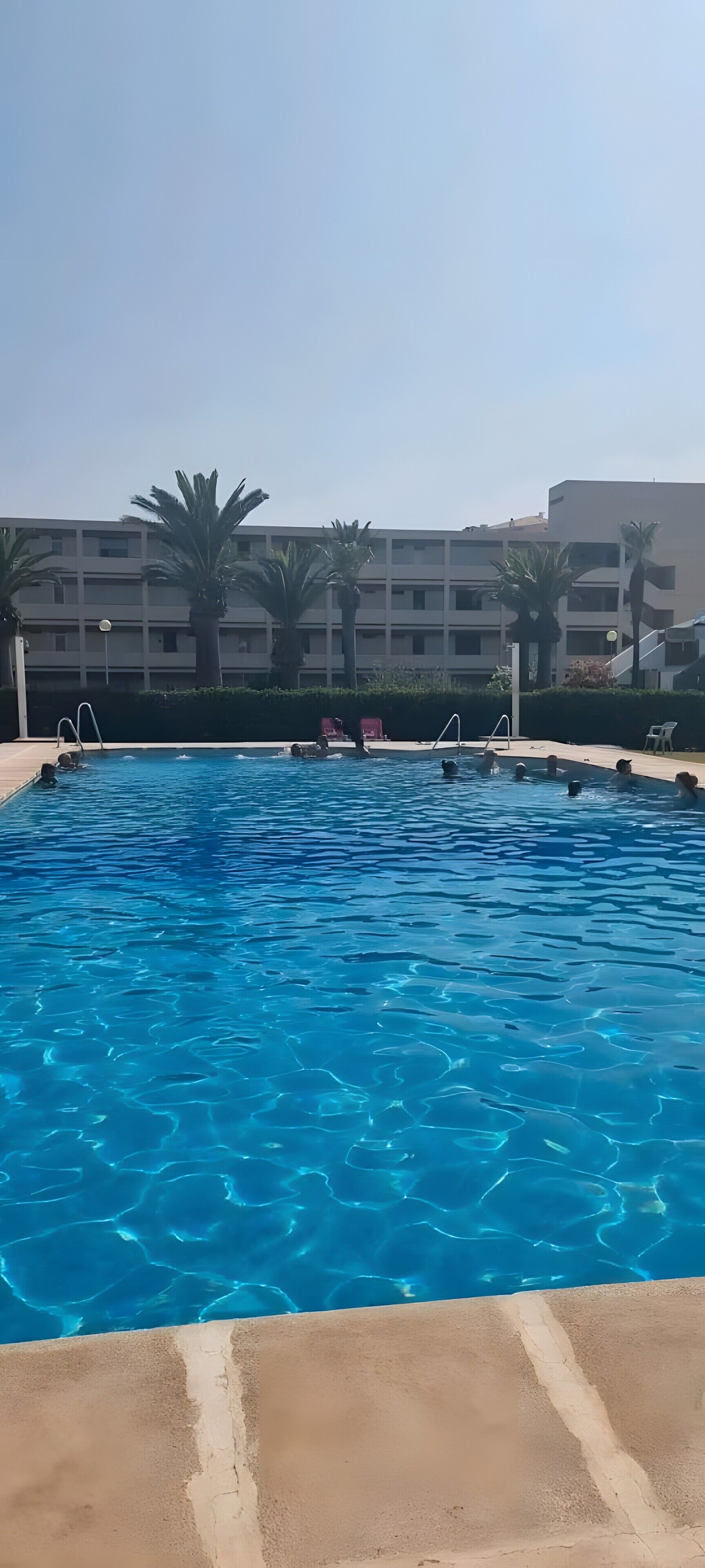 Una piscina con agua azul cristalina, rodeada de palmeras y un edificio al fondo.
