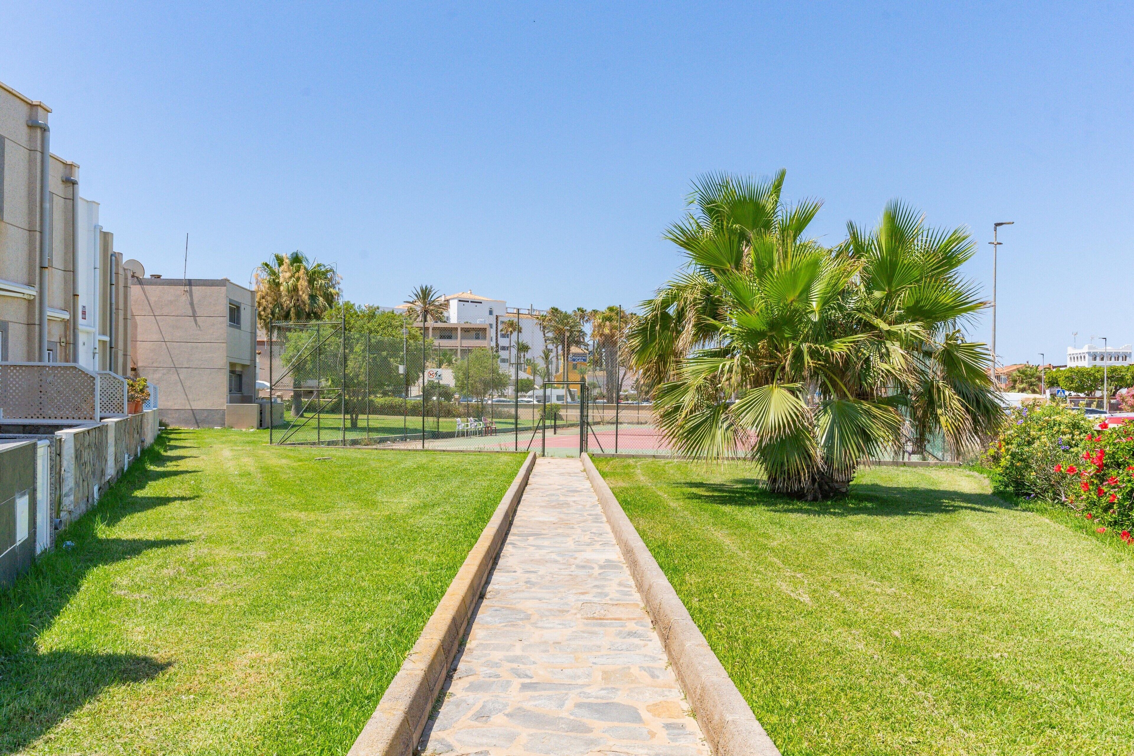 Un vialetto conduce a un edificio con pavimento in pietra, circondato da erba e palme.