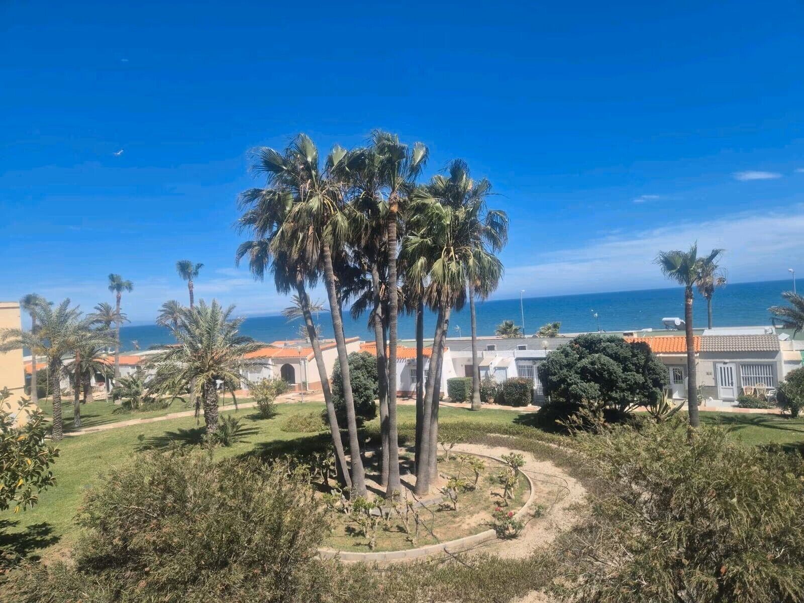 Vista de una zona costera con palmeras, cielo despejado y el mar a lo lejos.