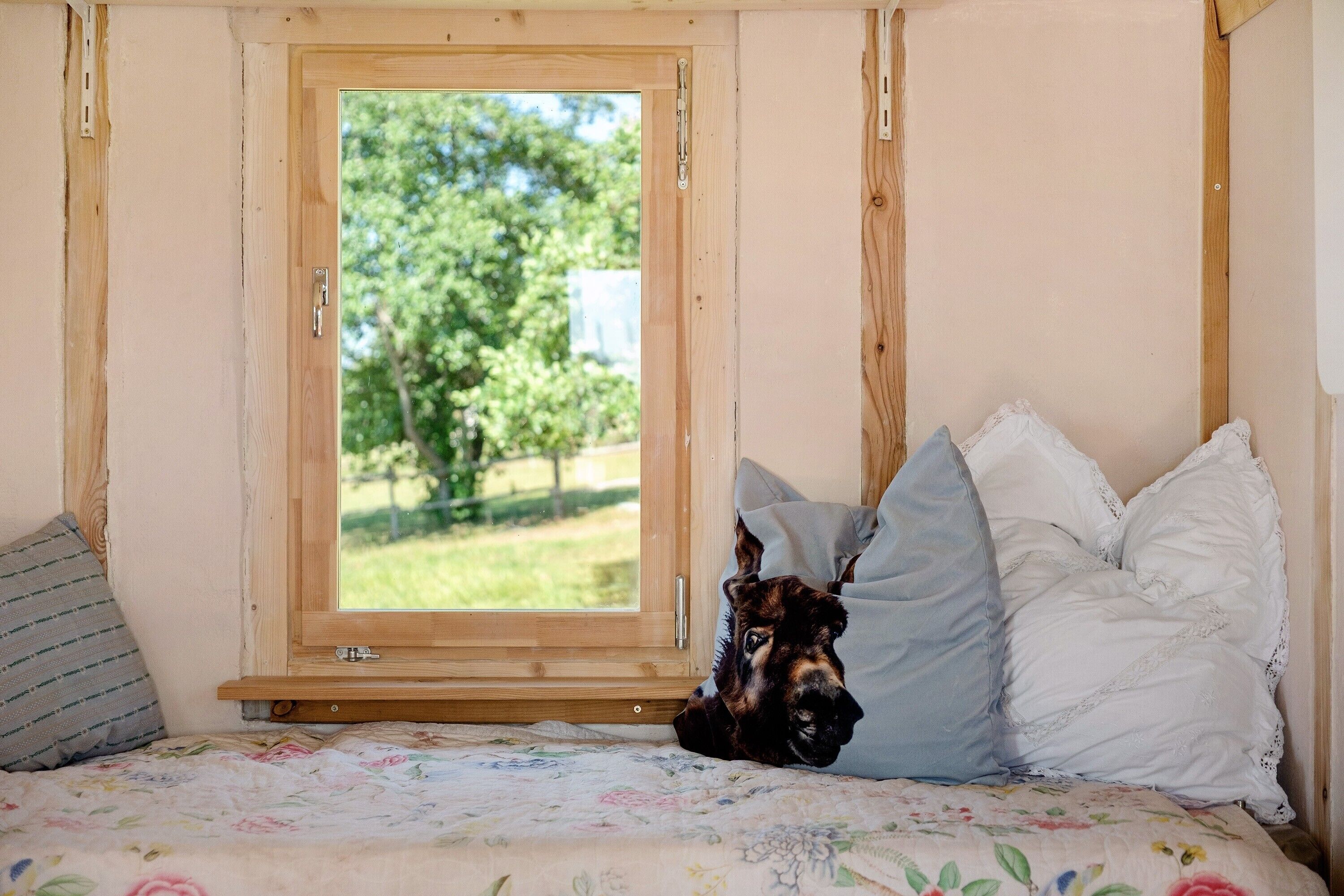 Una camera da letto con una finestra, un letto con biancheria da fiori e un cane che riposa tra i cuscini.