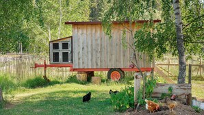 A wooden chicken coop with a window and a wheel, situated in a grassy area with trees and a fence in the background. - Tiny Home “Bauwagen auf dem Falkenhof” – Nature Retreat with Shared Kitchen (Eisenbach)