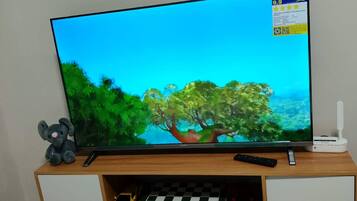 Television