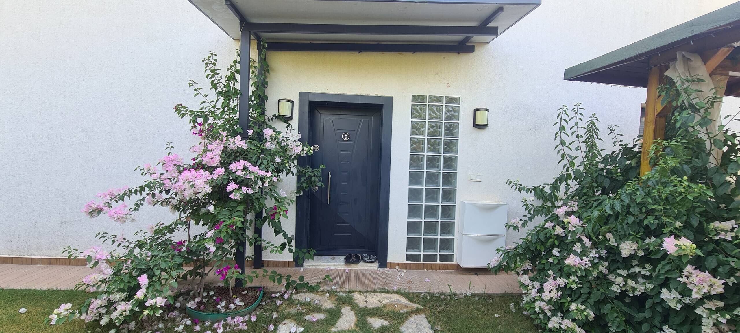 A house with a black door, a small window, and a white wall. There are two potted plants with pink flowers in front of the door.