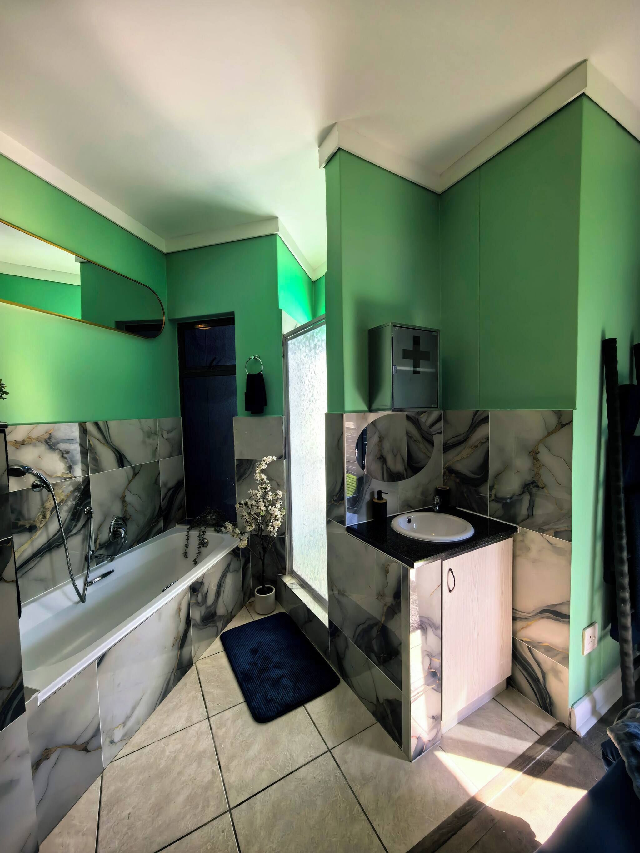 Shower, hair dryer