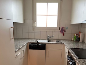 A compact kitchen with a built-in dishwasher, a sink, and a window above the countertop. - Roda Mulin, Surcuolm, (Surcuolm), 38010B by Interhome (Obersaxen Surcuolm)